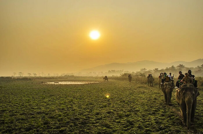 Sunderbans