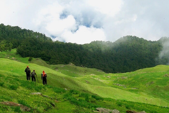 Trek to Gurso Bugyal