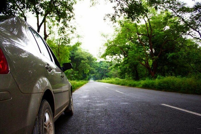 How To Reach Binsar Wildlife Sanctuary by road