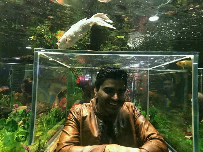 udaipur aquarium