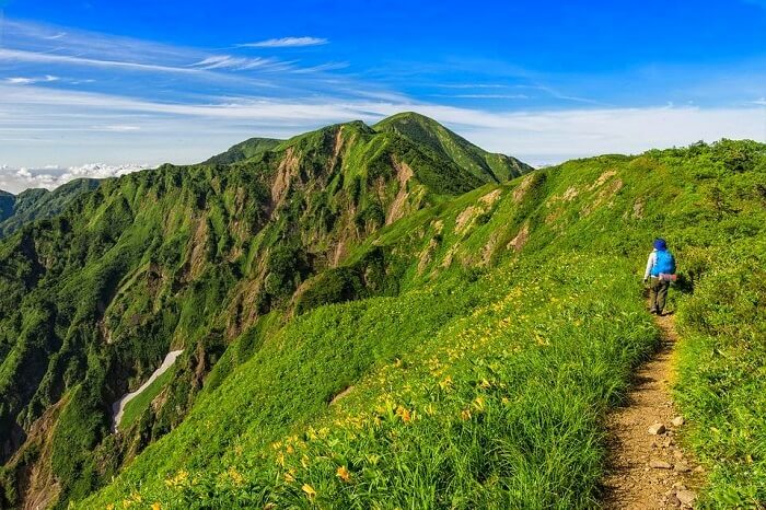 Trek to the heights of Binsar