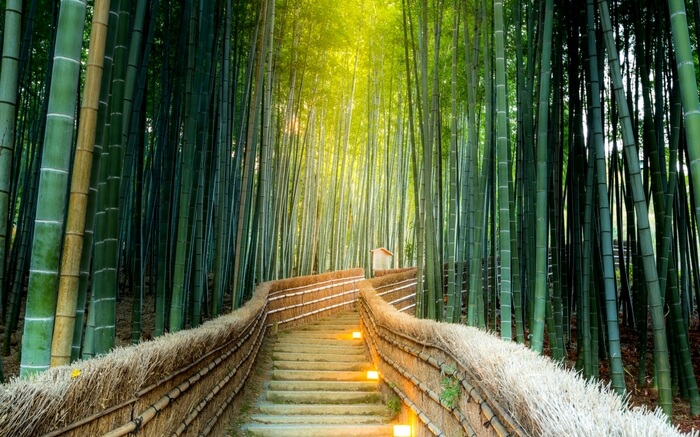 acj-2003-beautiful-landscapes-around-the-world (20)