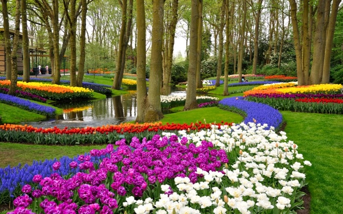 acj-2003-beautiful-landscapes-around-the-world (9)