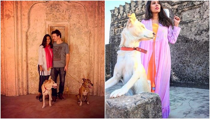 exploring india with dog