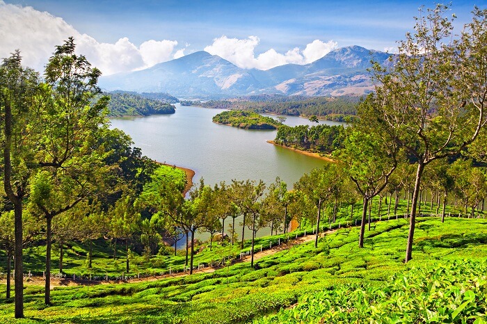 kerala in summer cover