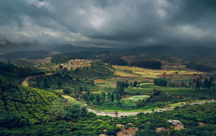 The Complete Ooty Honeymoon Guide For Couples