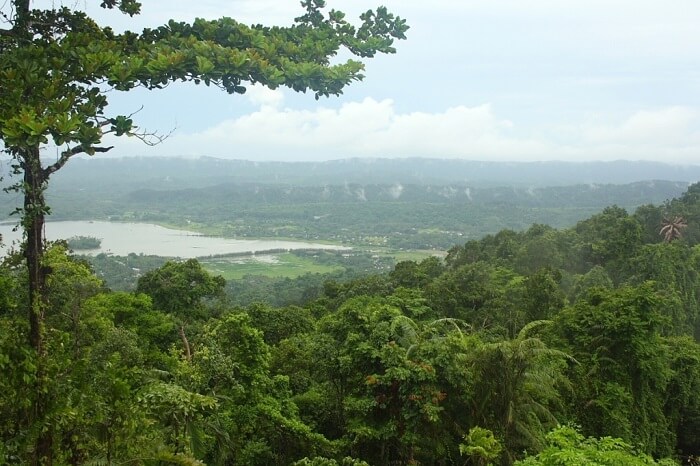 Mount Harriet National Park