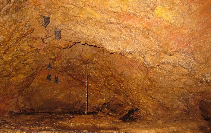 Nityanand Ashram Caves