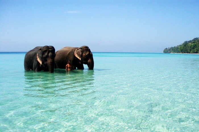 Campbell Bay National Park Andaman