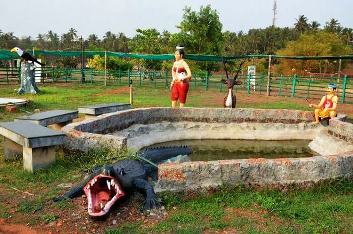 The Bekal Hole Aqua Park