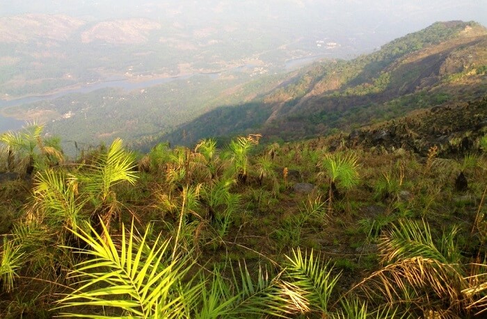 idukki tourism development society