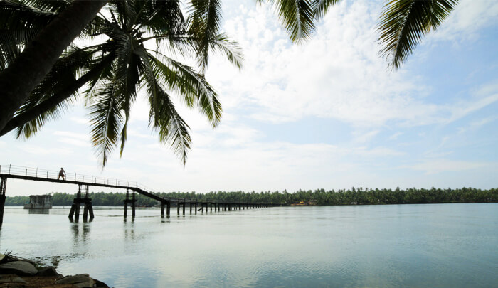 Valiyaparamba Backwaters