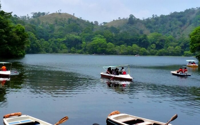 Enjoy Boating on Pookode Lake
