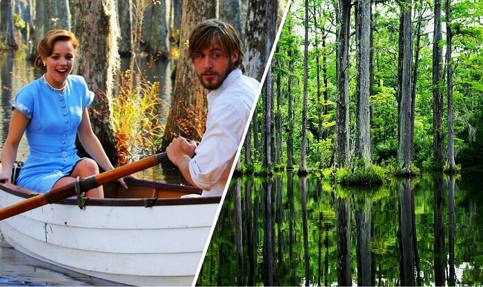 South Carolina In The Notebook