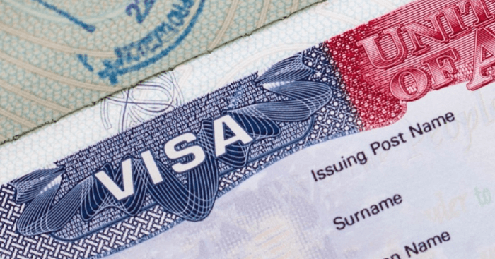 visa us