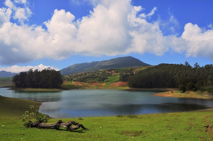 Go camping on the banks of the Avalanche Lake ooty
