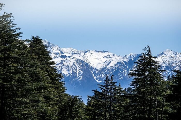 kalatop trek in dalhousie