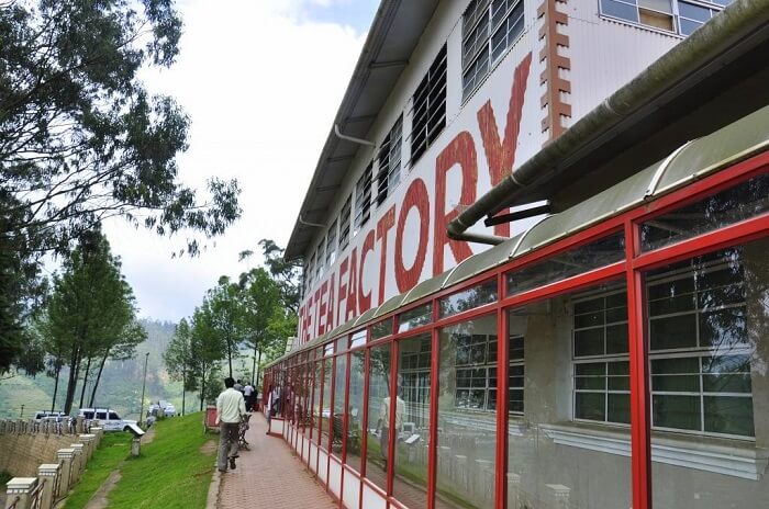 Sip exotic blends of tea at the Tea Museum ooty