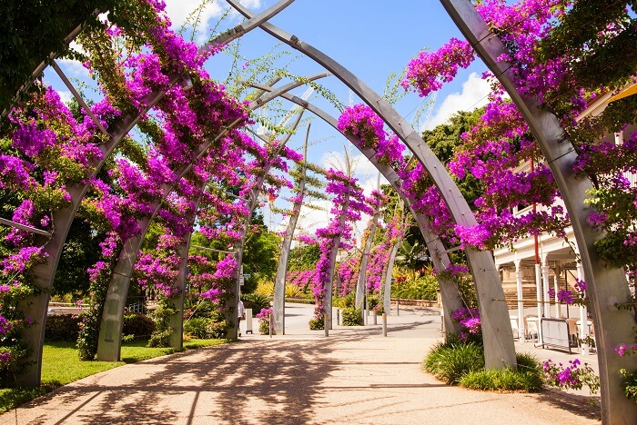 South Bank Brisbane