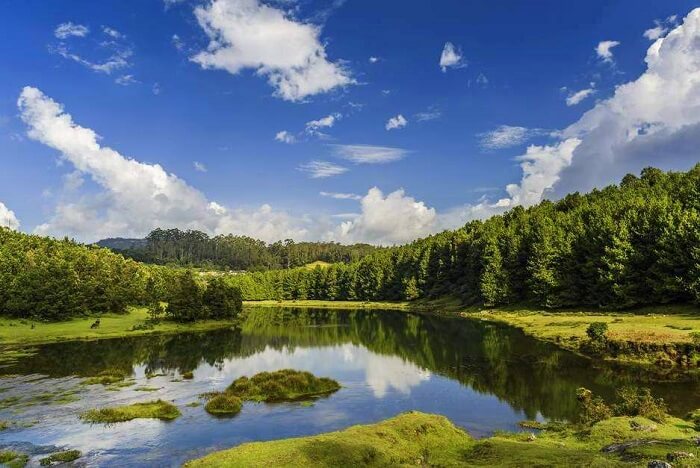 Take a speedboat ride at the Pykara ooty