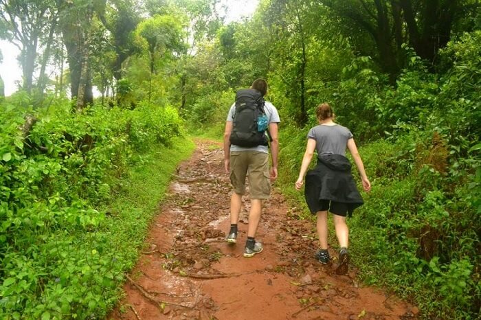 Trek through the hills and jungles coorg
