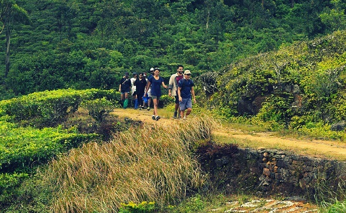 acj-trekking-in-kandy (1)