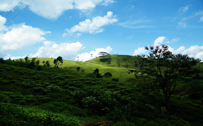 acj-trekking-in-kandy (10)
