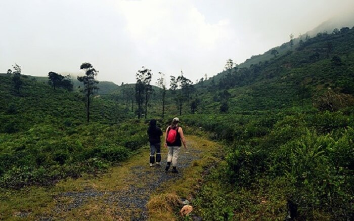 acj-trekking-in-kandy (9)