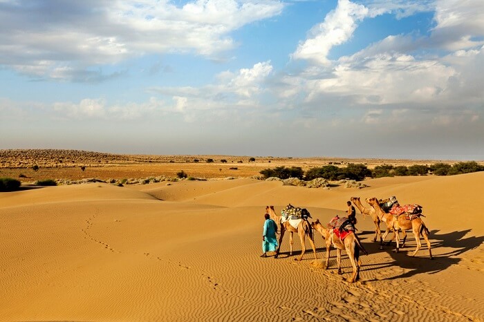 things to do in bikaner