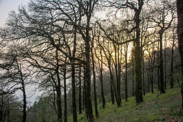 naina peak in bhimtal