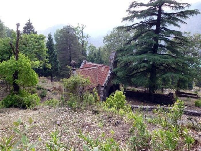 pine cemetry in bhimtal