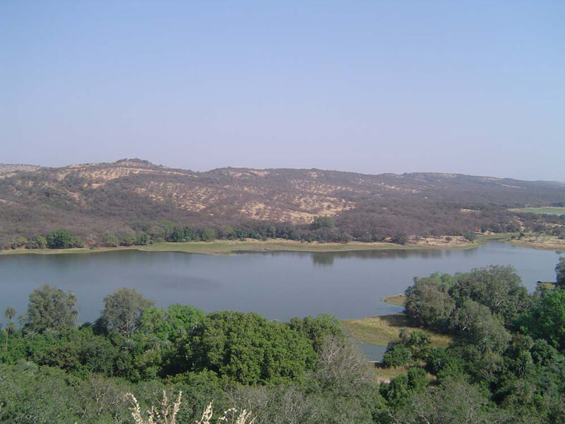 views of the surrounding forests