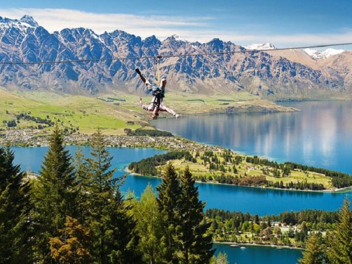 new zealand zip lining adventure