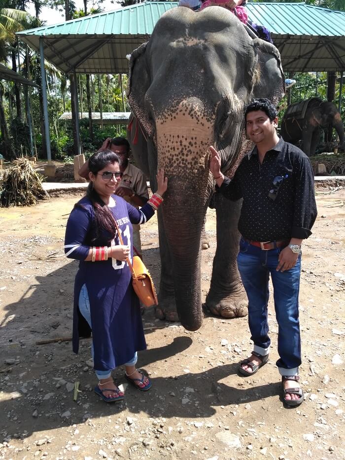 Elephant ride Kerala
