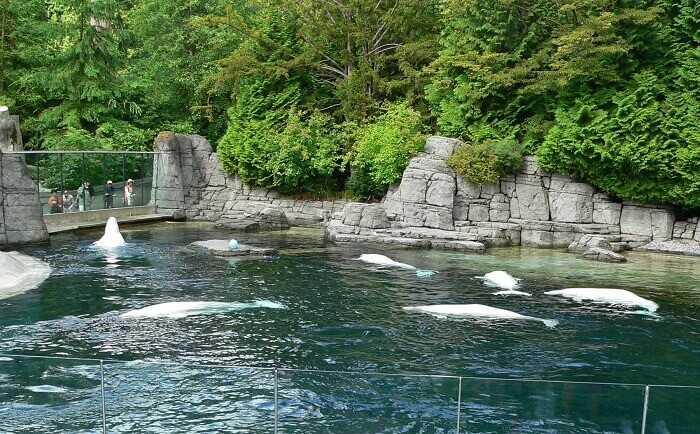 Vancouver Aquarium