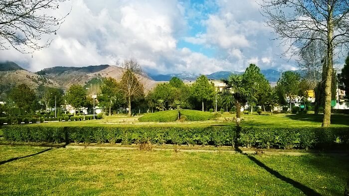 visit Abbott Mount in kumaon