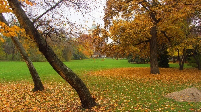 Explore Margaret Island on a golf cart in budapest Hungary
