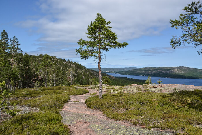 High Coast in Sweden
