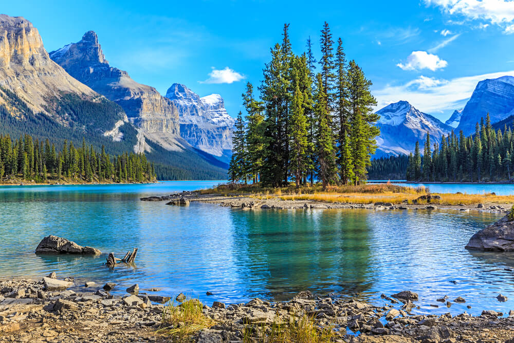 the gorgeous Jasper National Park