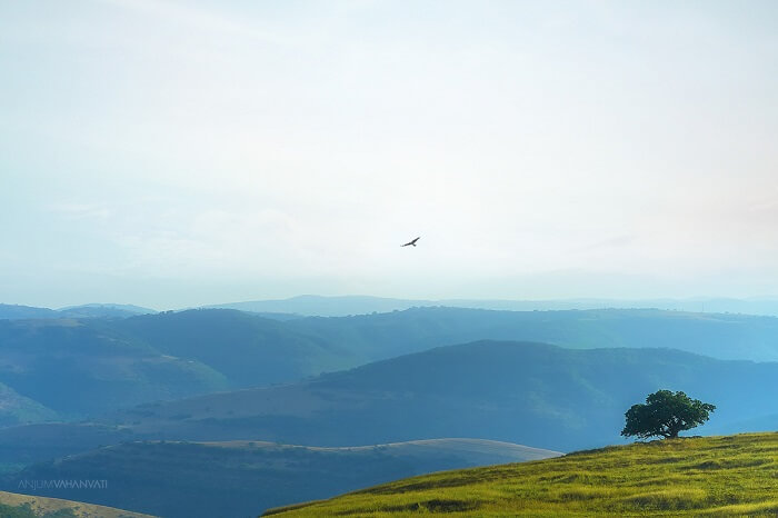 Salahah valley