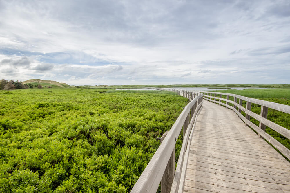 a wooden bridge in Prince Edward Island National Park