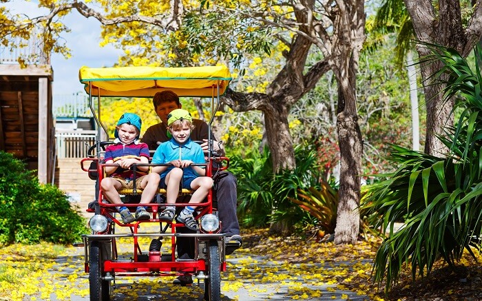 Relish the nature with over two-thousand animals at Zoo Miami