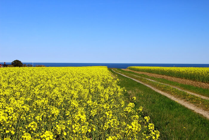 Skåne in Sweden
