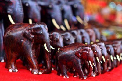 kochi shopping cover picture