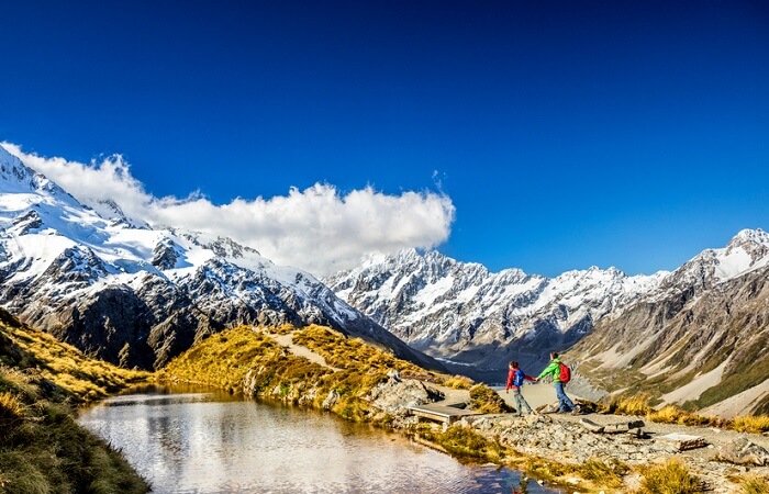 travelers in new zealand