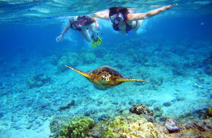 Snorkeling in Hawaii