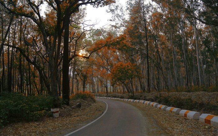 A road to Chakrata