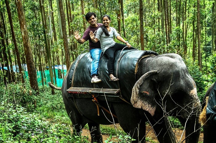 Carmelagiri Elephant Park