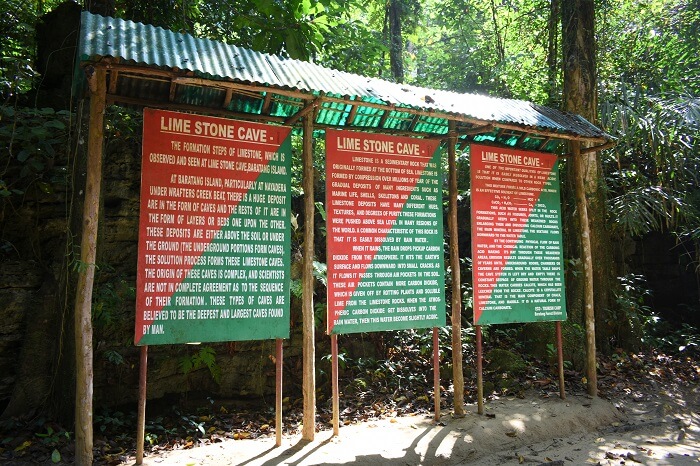 holiday in Andaman
