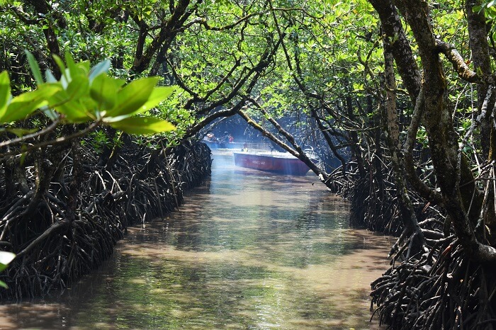 Ross Island